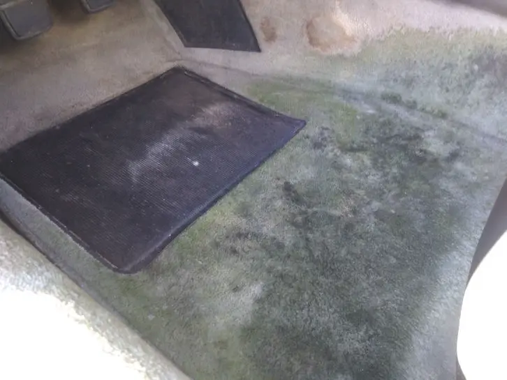 car interior water extraction