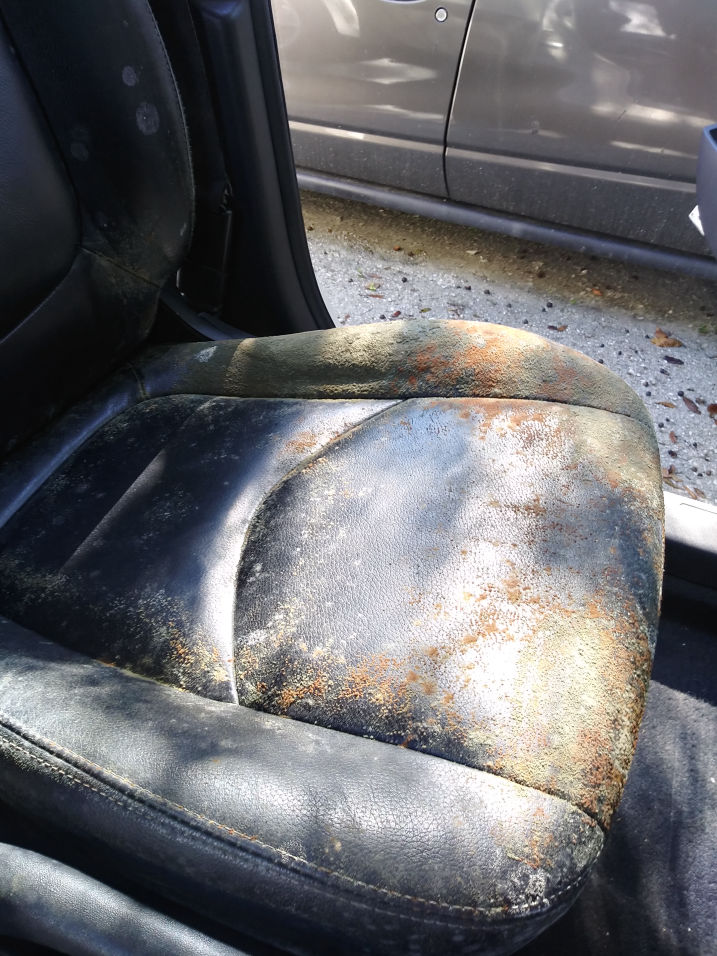 Photos Amazing mobile detailing inc.